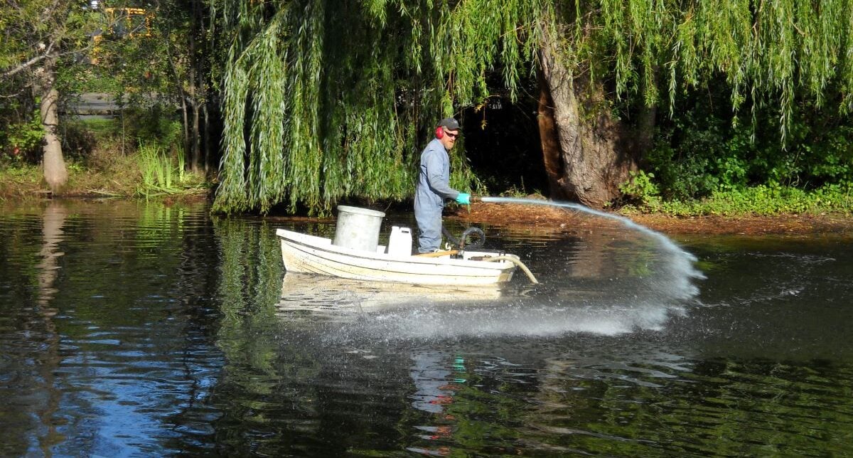 Steve spraying Mizzen.