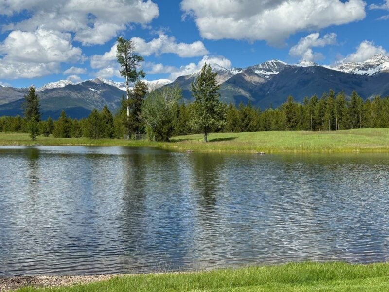 Healthy pond with trees and mountains in background.