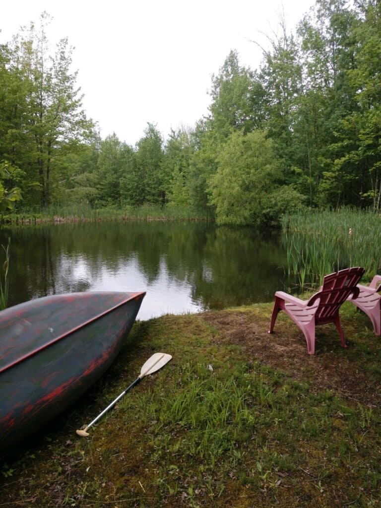 Healthy pond with chair and canoe on shore.