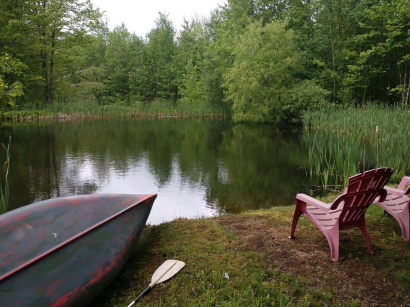 Healthy pond with chair and canoe on shore.