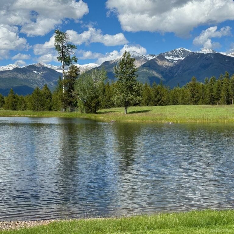 Healthy pond with trees and mountains in background.