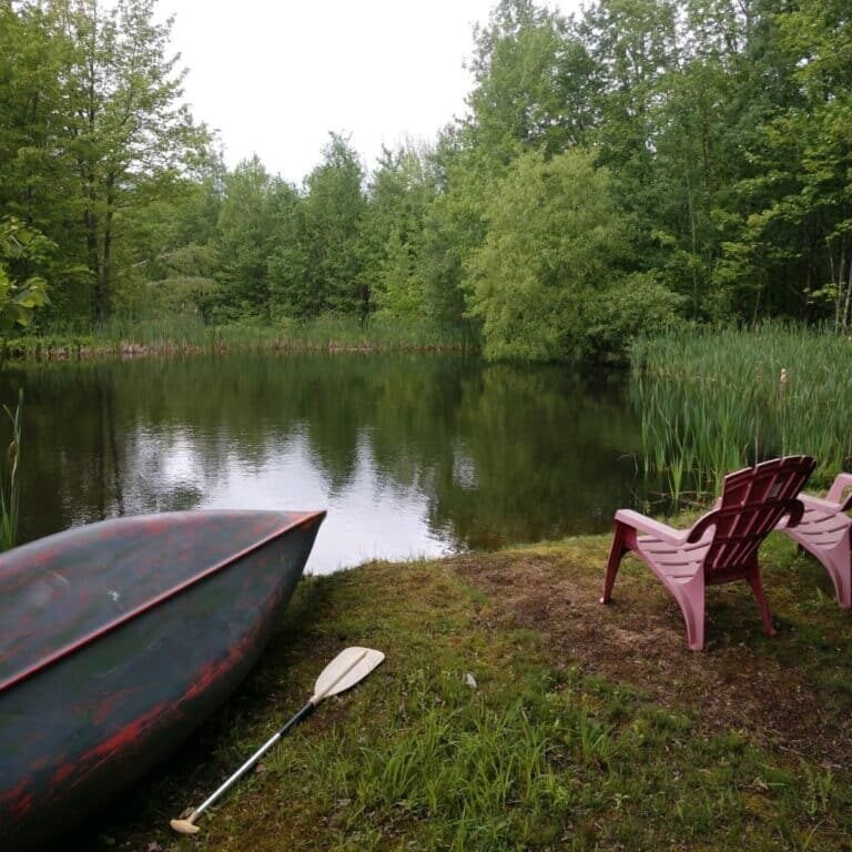 Healthy pond with chair and canoe on shore.